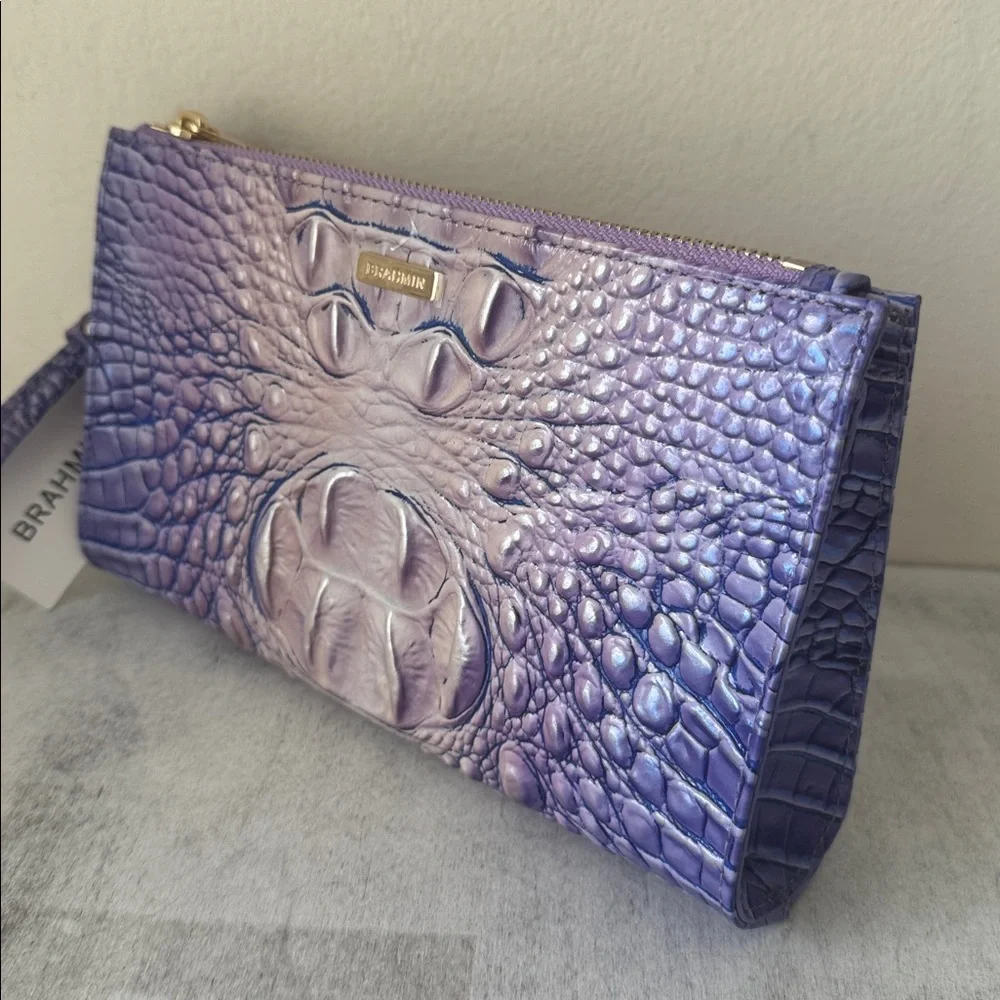 Brahmin daisy very
